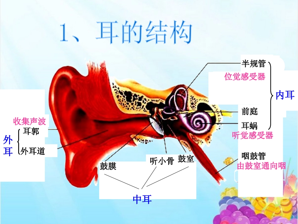 《怎样听到声音》PPT课件[青岛版五年级科学上册]_第3页