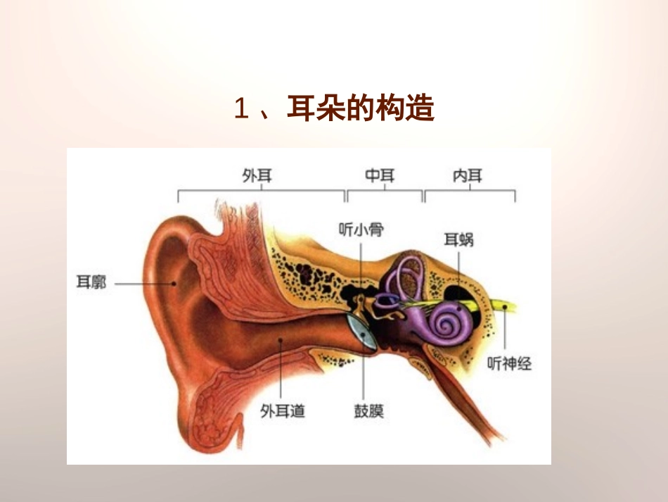 《怎样听到声音》PPT课件[青岛版五年级科学上册]_第2页