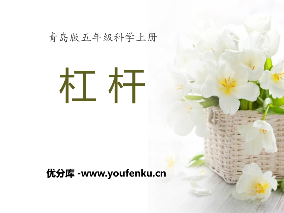 《杠杆》PPT课件[青岛版五年级科学上册]_第1页
