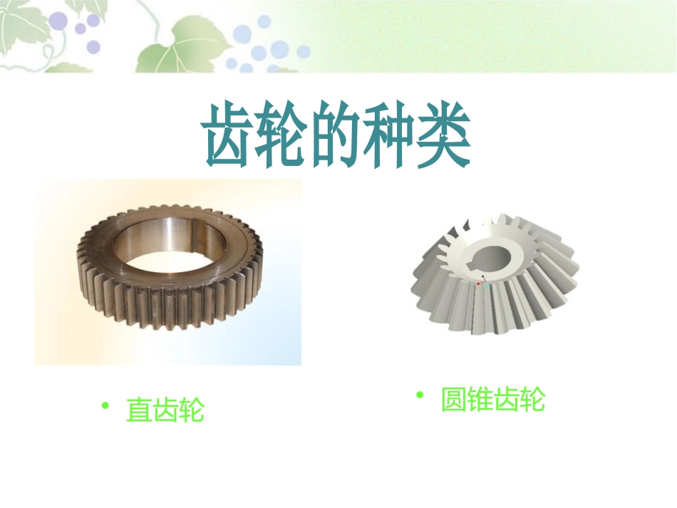 《齿轮》PPT课件[青岛版五年级科学上册]_第3页