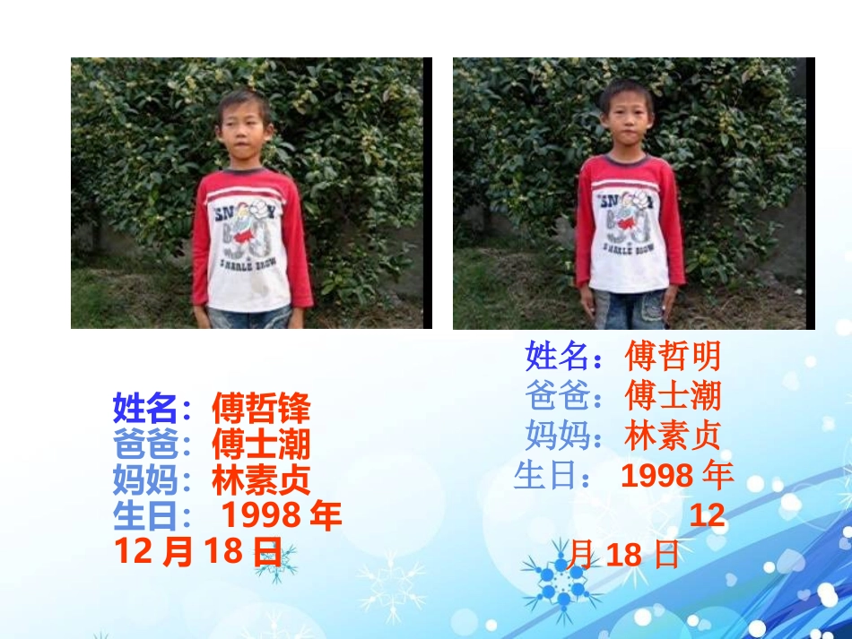 《我像谁》PPT课件[青岛版五年级科学下册]_第3页