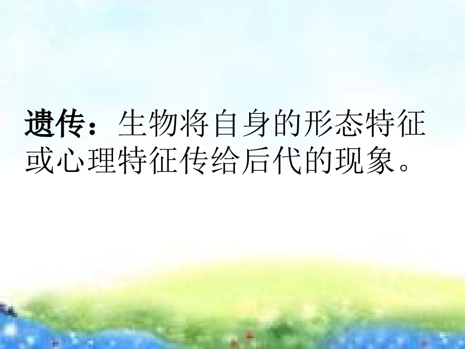 《我像谁》PPT课件[青岛版五年级科学下册]_第2页