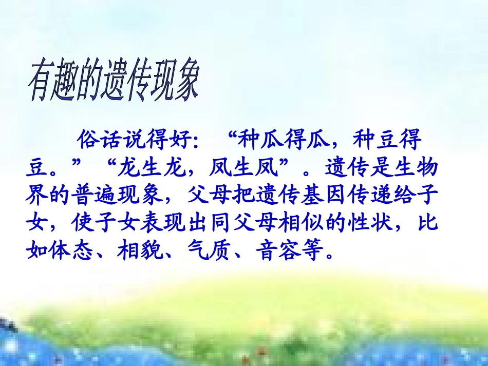 《我像谁》PPT课件[青岛版五年级科学下册]_第3页