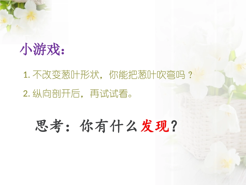 《生物的启示》PPT课件[青岛版五年级科学下册]_第3页