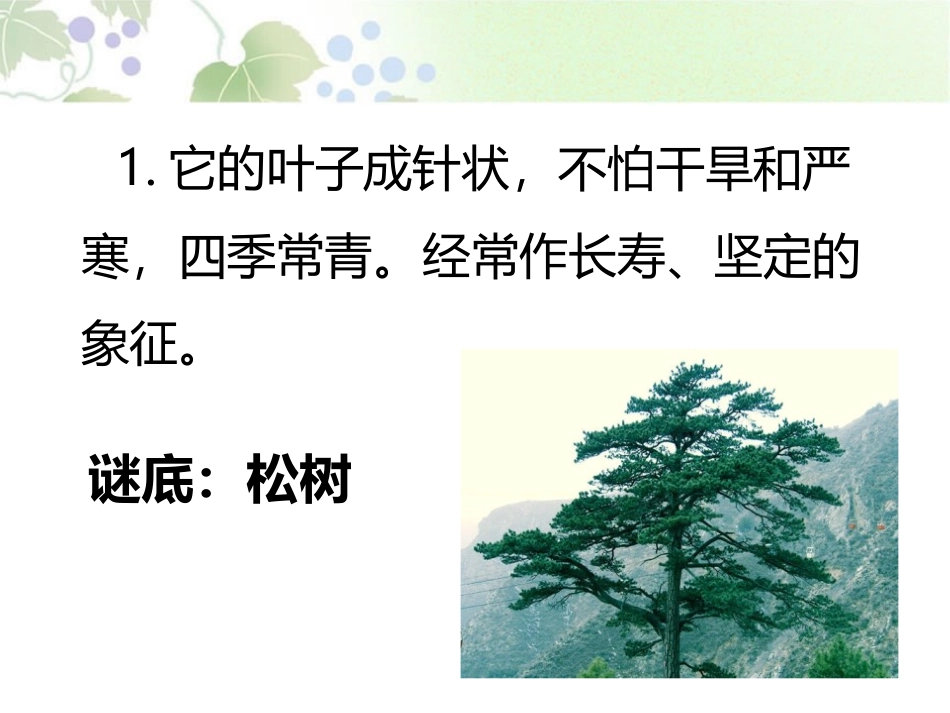 《花儿草儿真美丽》PPT课件[一年级道德与法治下册]_第3页