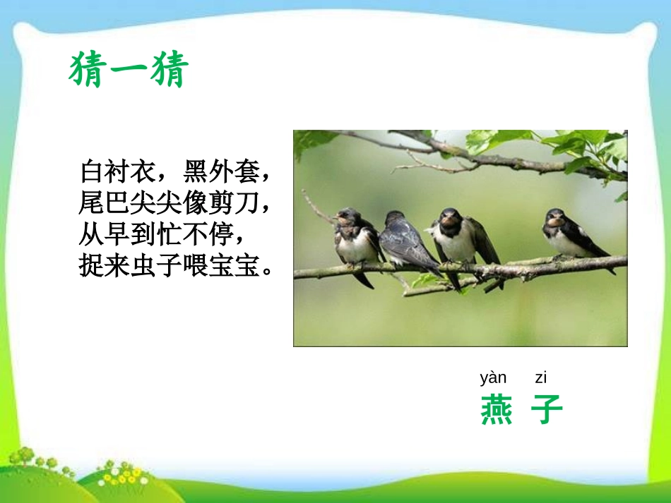 《可爱的动物》PPT课件[一年级道德与法治下册]_第3页