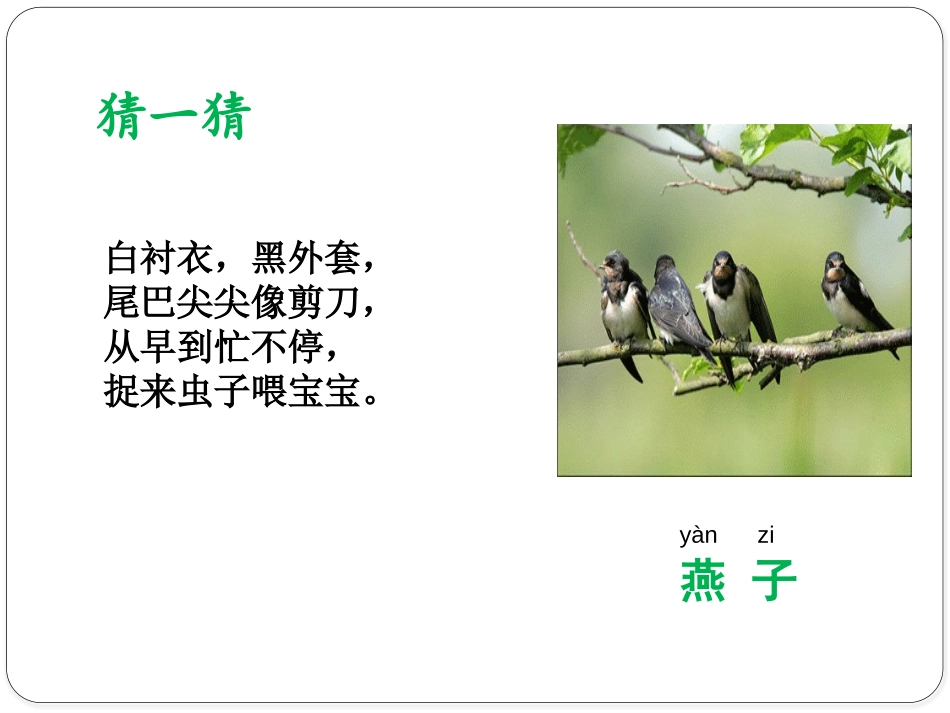 《可爱的动物》PPT课件[一年级道德与法治下册]_第2页