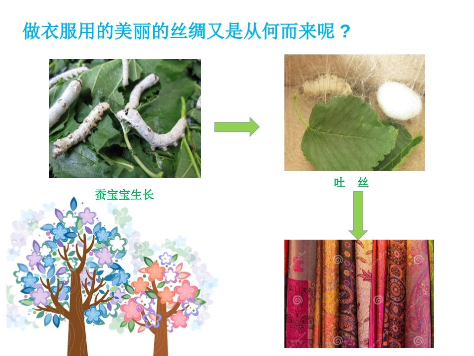《大自然,谢谢您》PPT课件[一年级道德与法治下册]_第3页