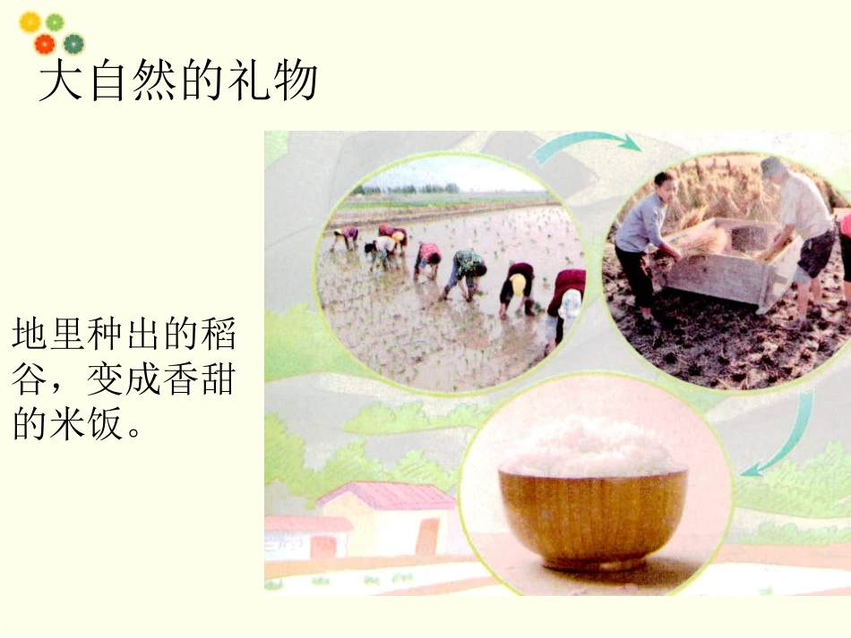 《大自然,谢谢您》PPT课件[一年级道德与法治下册]_第2页