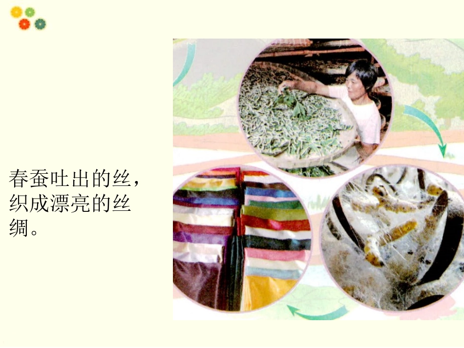 《大自然,谢谢您》PPT课件[一年级道德与法治下册]_第3页