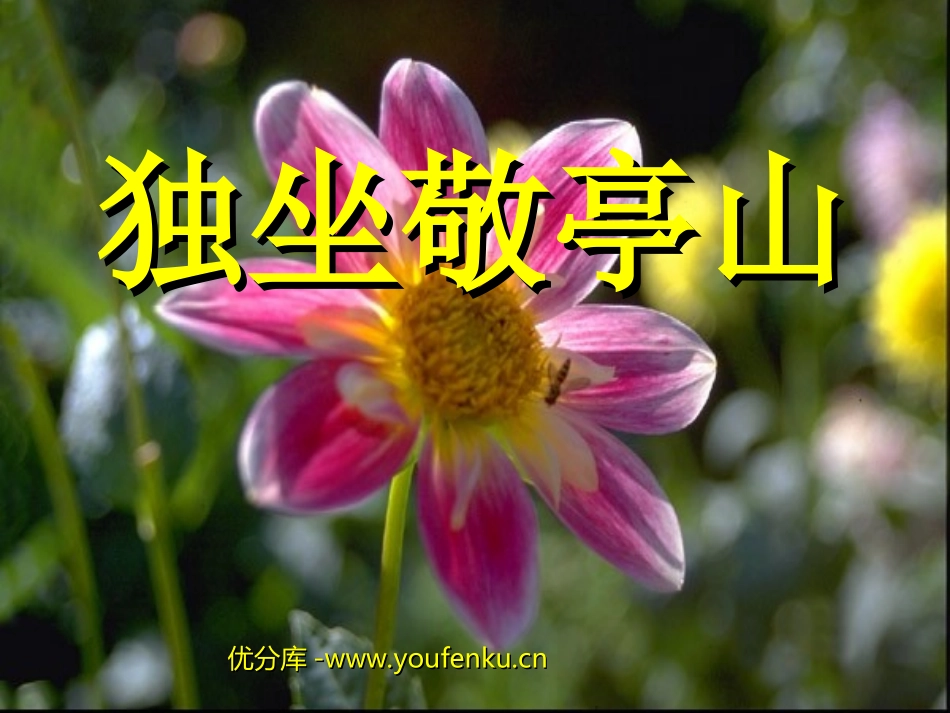 《独坐敬亭山》PPT课件[部编版四年级语文下册]_第1页