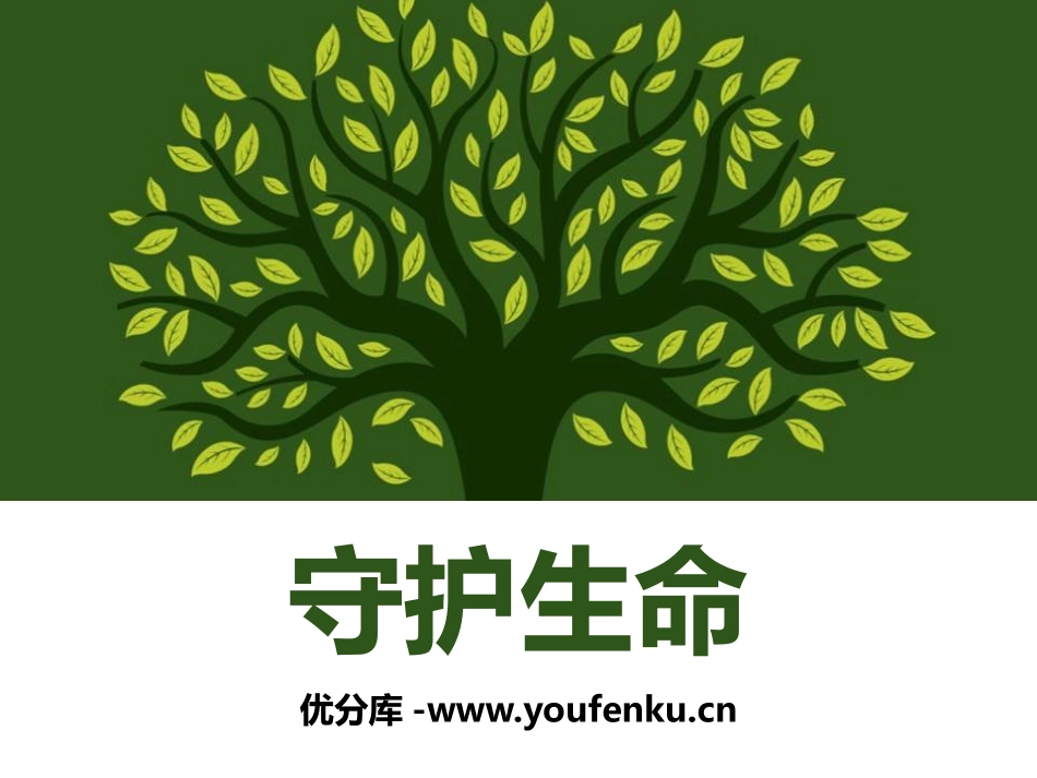 《守护生命》PPT课件[七年级道德与法治上册]_第1页