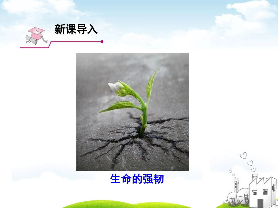 《感受生命的意义》PPT课件[七年级道德与法治上册]_第3页