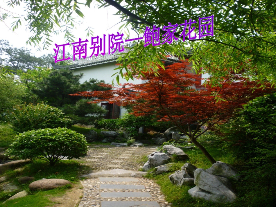 《忆江南》PPT课件[部编版四年级语文下册]_第3页