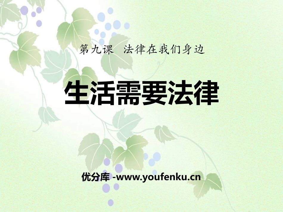 《生活需要法律》PPT课件[七年级道德与法治下册]_第1页