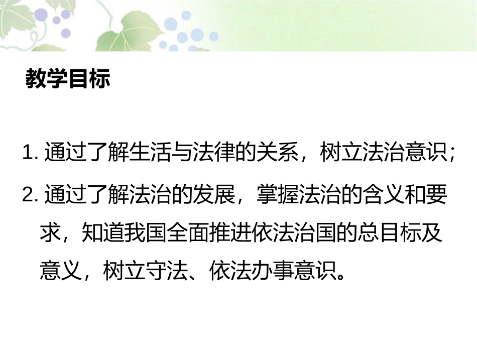 《生活需要法律》PPT课件[七年级道德与法治下册]_第2页
