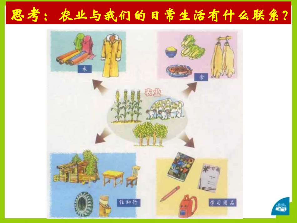 《世界农业大国》PPT课件[上海教育版七年级地理下册]_第2页