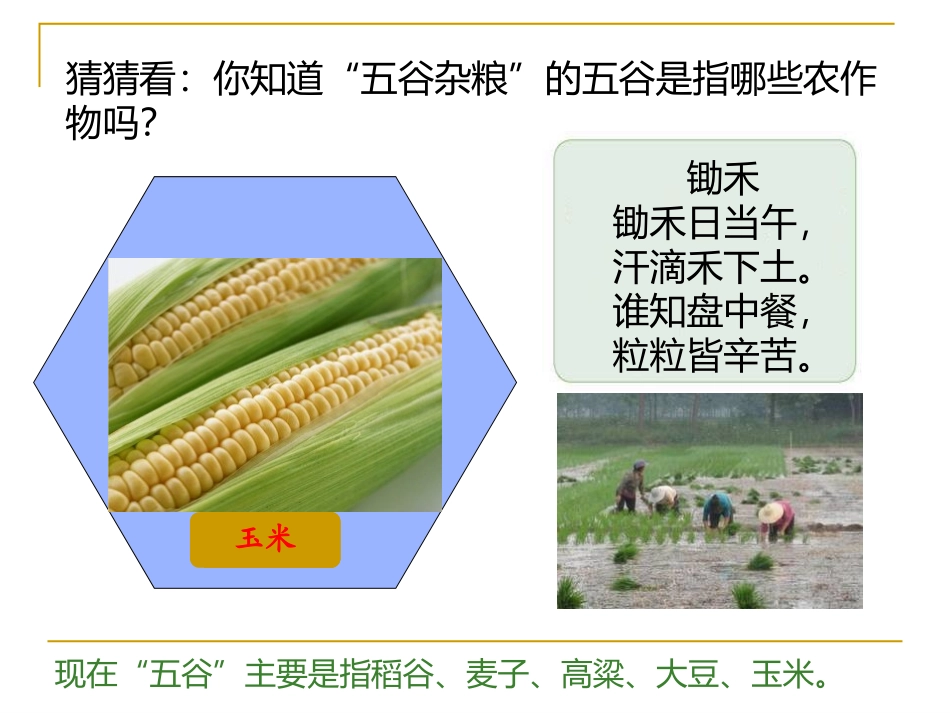 《农业的分布》PPT课件[上海教育版七年级地理下册]_第3页
