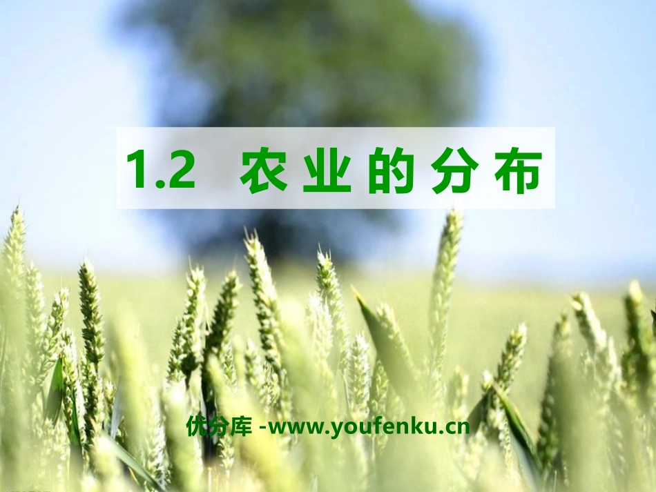 《农业的分布》PPT课件[上海教育版七年级地理下册]_第1页
