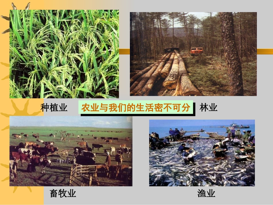 《农业的分布》PPT课件[上海教育版七年级地理下册]_第2页