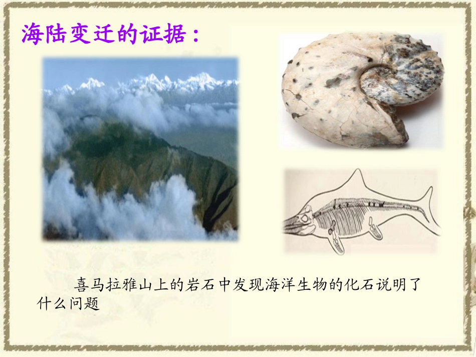 《海陆变迁》PPT课件[商务星球版七年级地理上册]_第3页