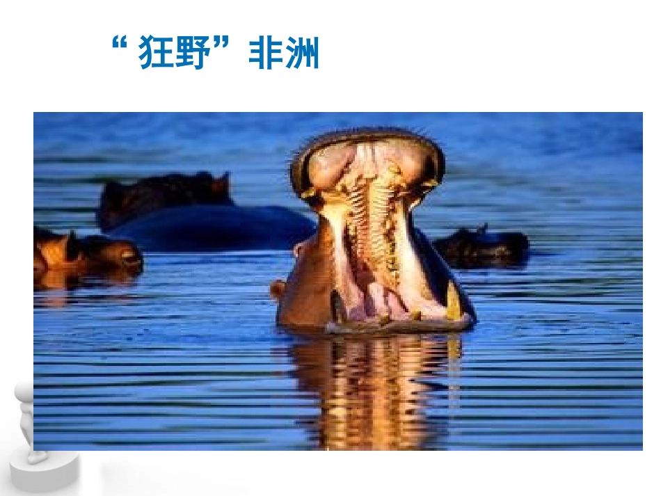 《撒哈拉以南的非洲》PPT课件[商务星球版七年级地理下册]_第3页