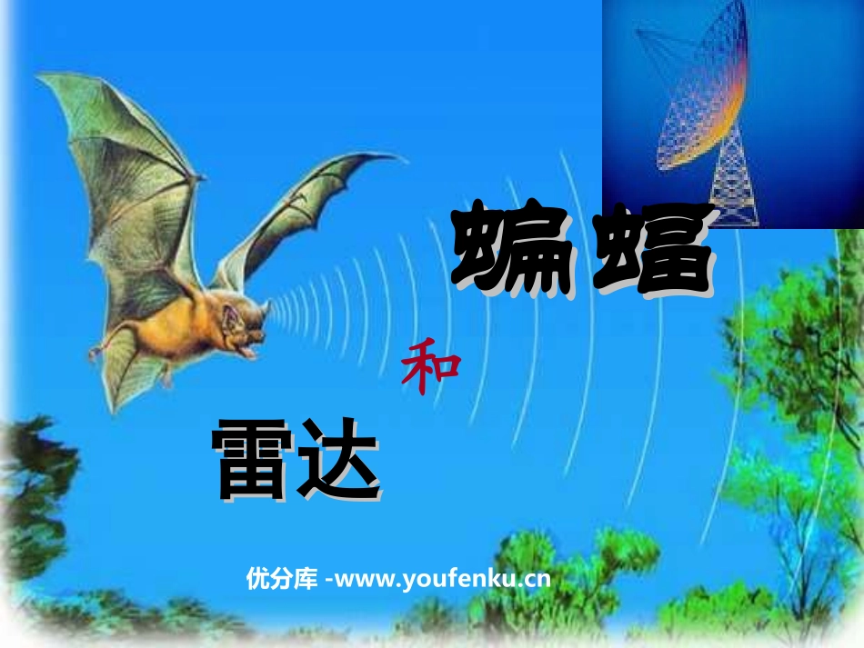 《蝙蝠和雷达》PPT课件[部编版四年级语文下册]_第1页