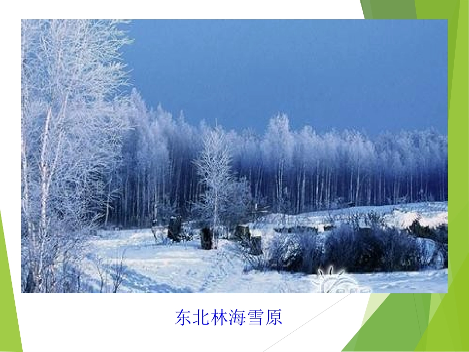《中国四大地理区域划分》PPT课件[商务星球版八年级地理]_第3页