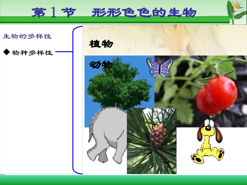 《形形色色的生物》PPT课件[北师大版七年级生物上册]_第3页
