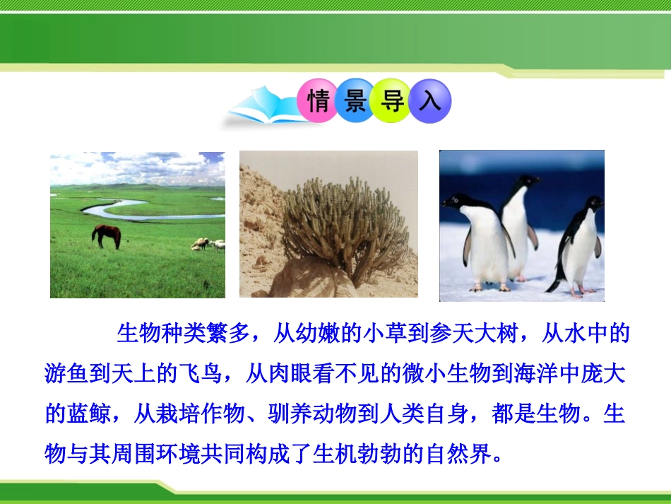 《形形色色的生物》PPT课件[北师大版七年级生物上册]_第2页