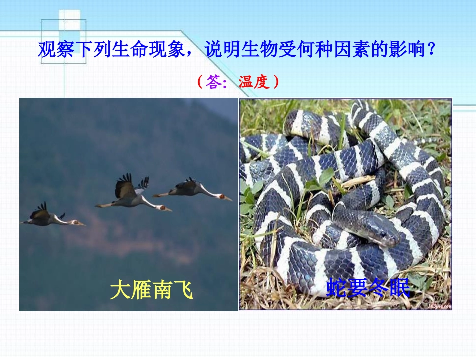 《生物与环境的相互影响》PPT课件[北师大版七年级生物上册]_第3页