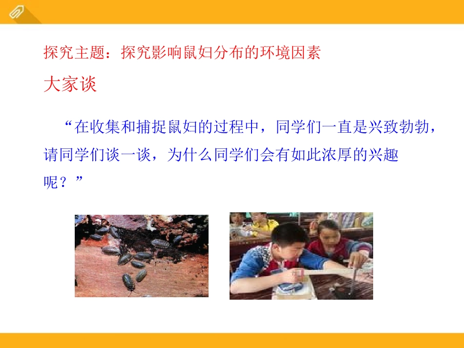 《生物学研究的基本方法》PPT课件[北师大版七年级生物上册]_第2页