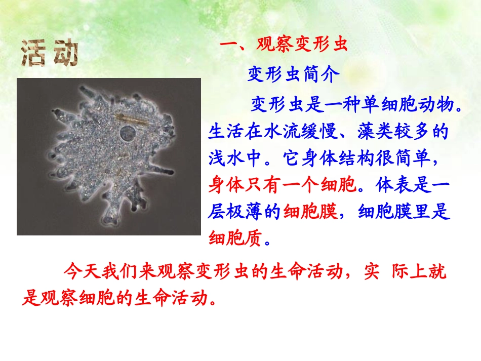 《细胞是生命活动的单位》PPT课件[北师大版七年级生物上册]_第3页
