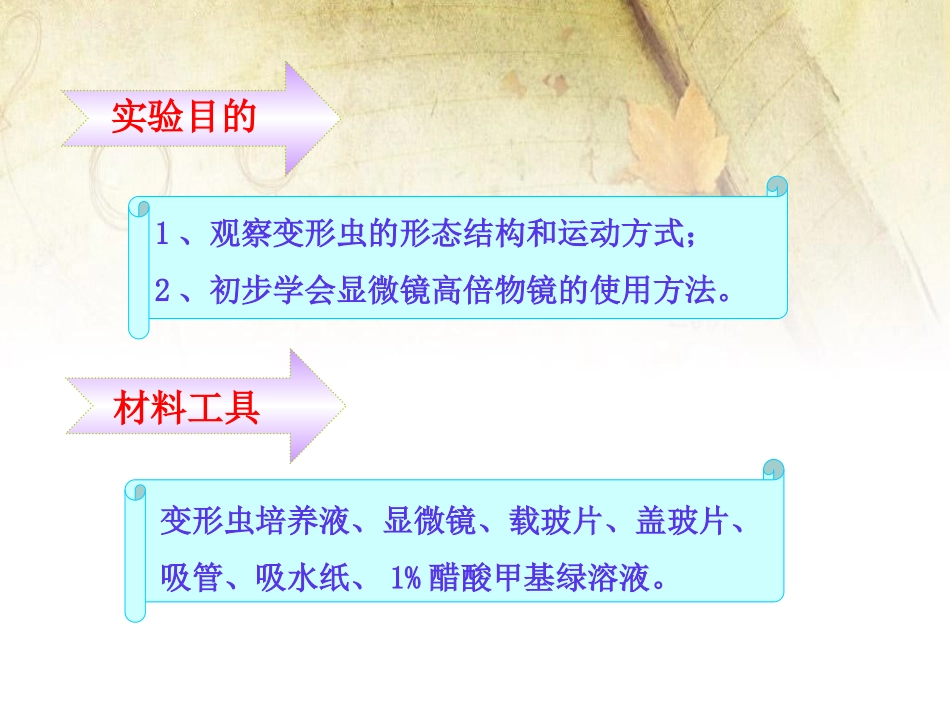 《细胞是生命活动的单位》PPT课件[北师大版七年级生物上册]_第3页