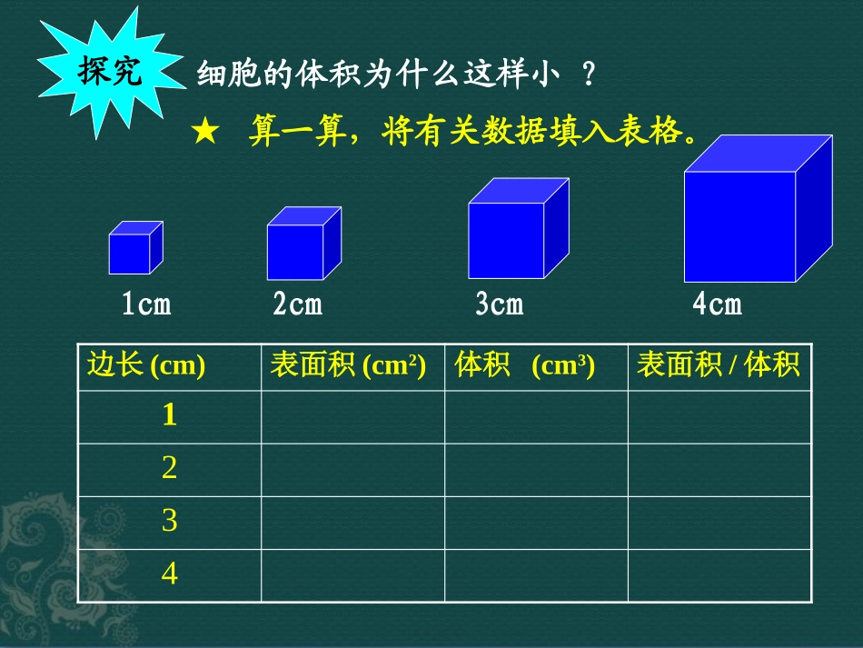 《细胞通过分裂而增殖》PPT课件[北师大版七年级生物上册]_第2页