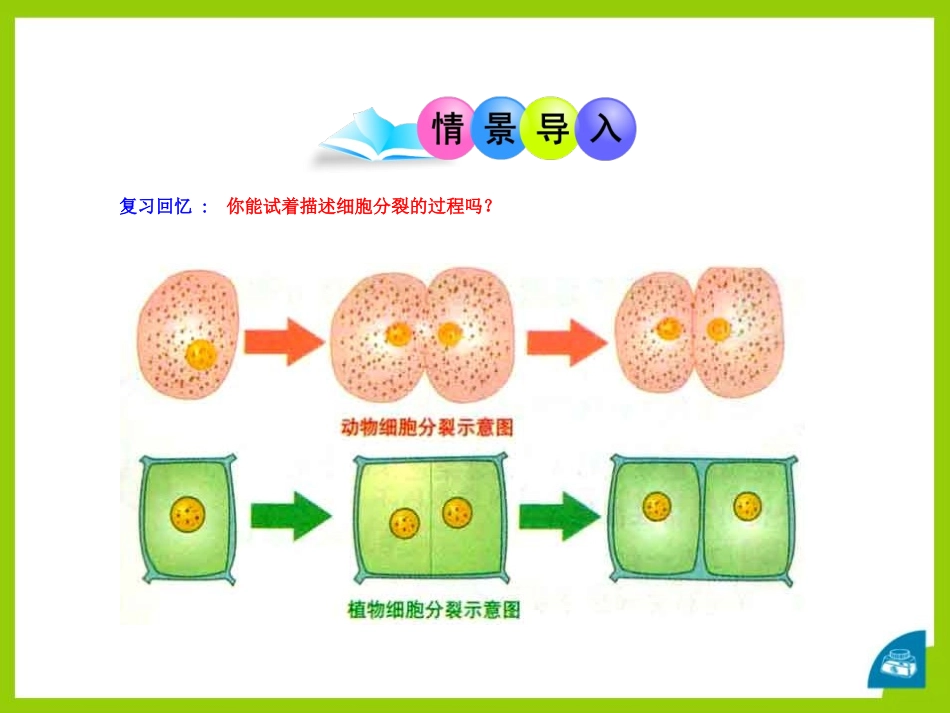 《细胞分化形成组织》PPT课件[北师大版七年级生物上册]_第2页