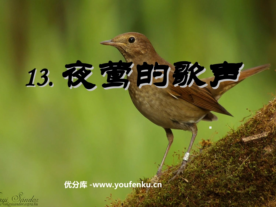 《夜莺的歌声》PPT课件[部编版四年级语文下册]_第1页