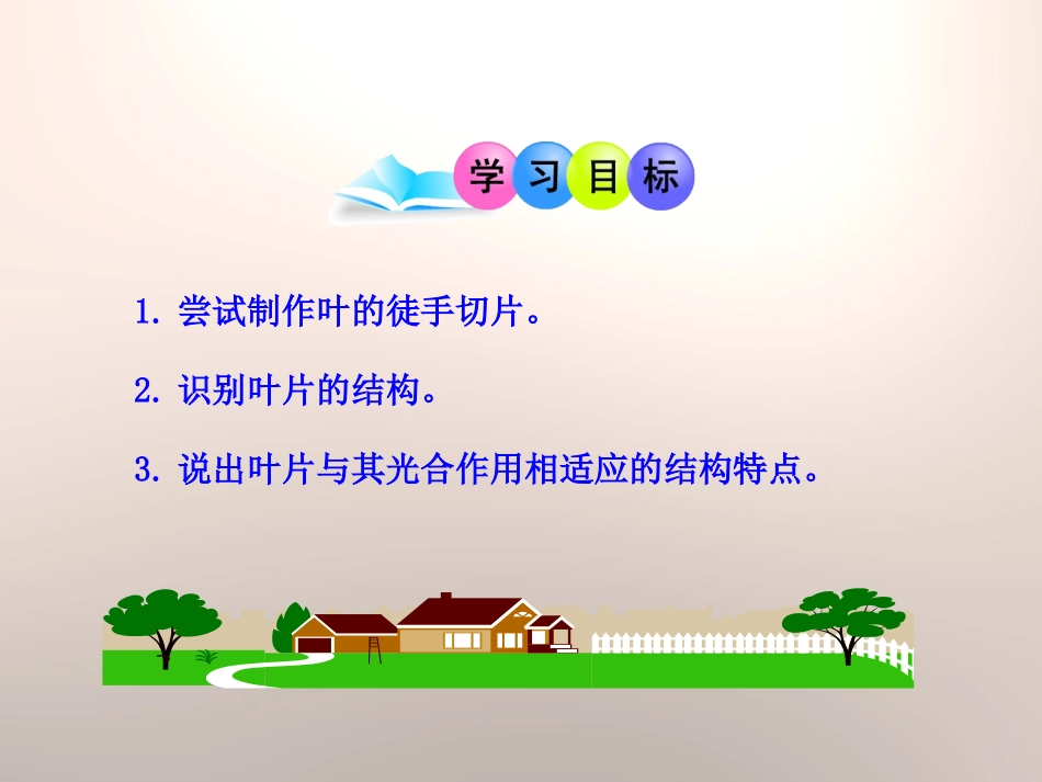 《光合作用》PPT课件[北师大版七年级生物上册]_第3页