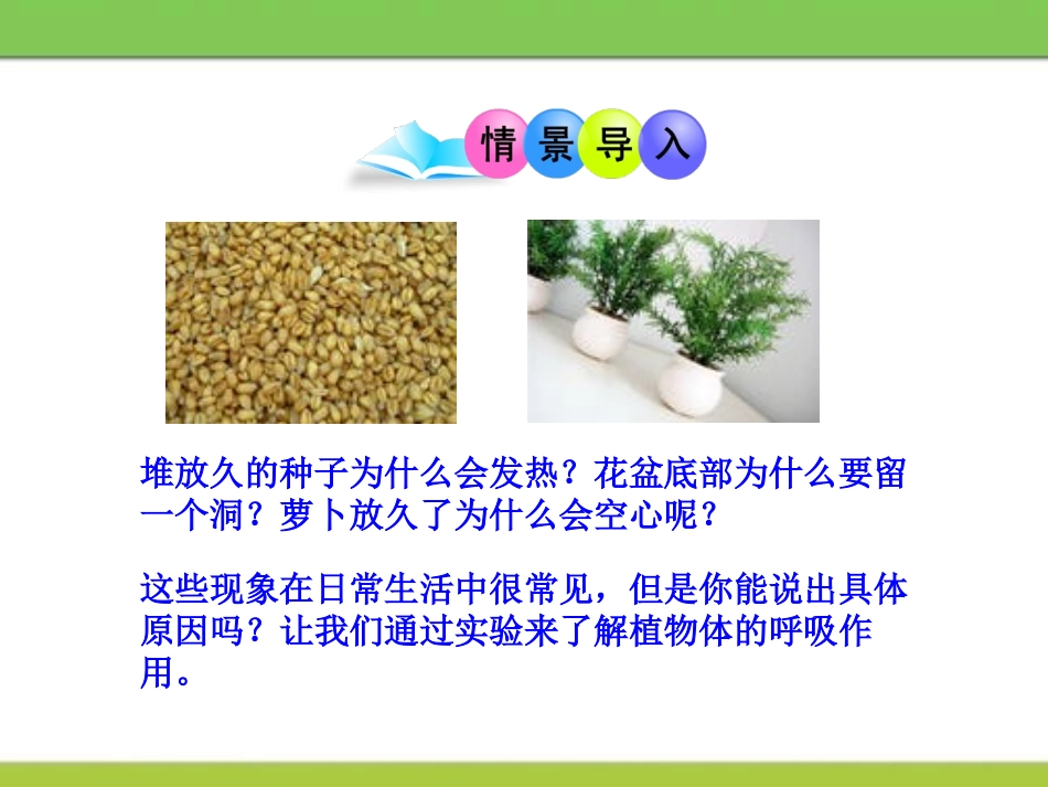 《呼吸作用》PPT课件[北师大版七年级生物上册]_第2页