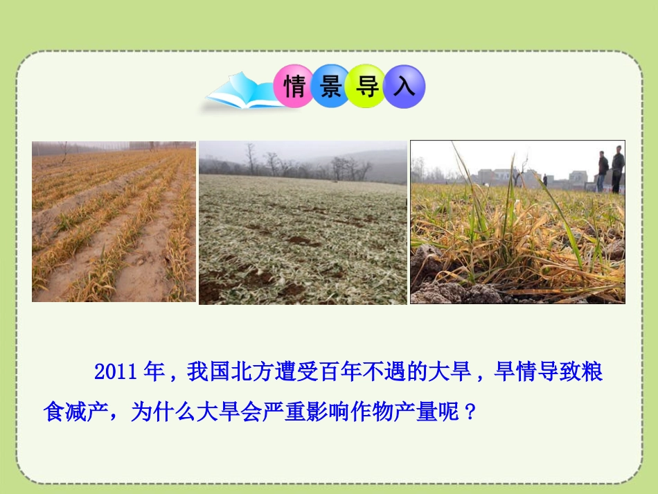 《吸收作用》PPT课件[北师大版七年级生物上册]_第2页