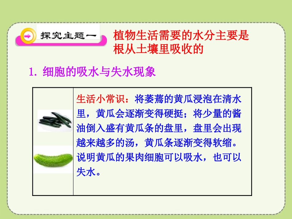 《吸收作用》PPT课件[北师大版七年级生物上册]_第3页