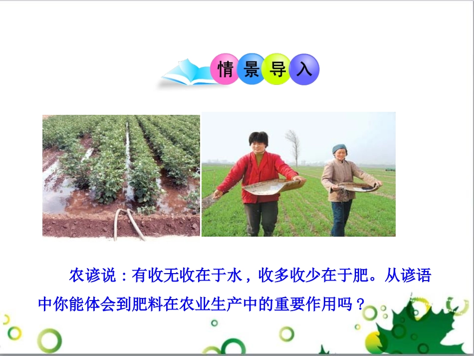 《吸收作用》PPT课件[北师大版七年级生物上册]_第2页