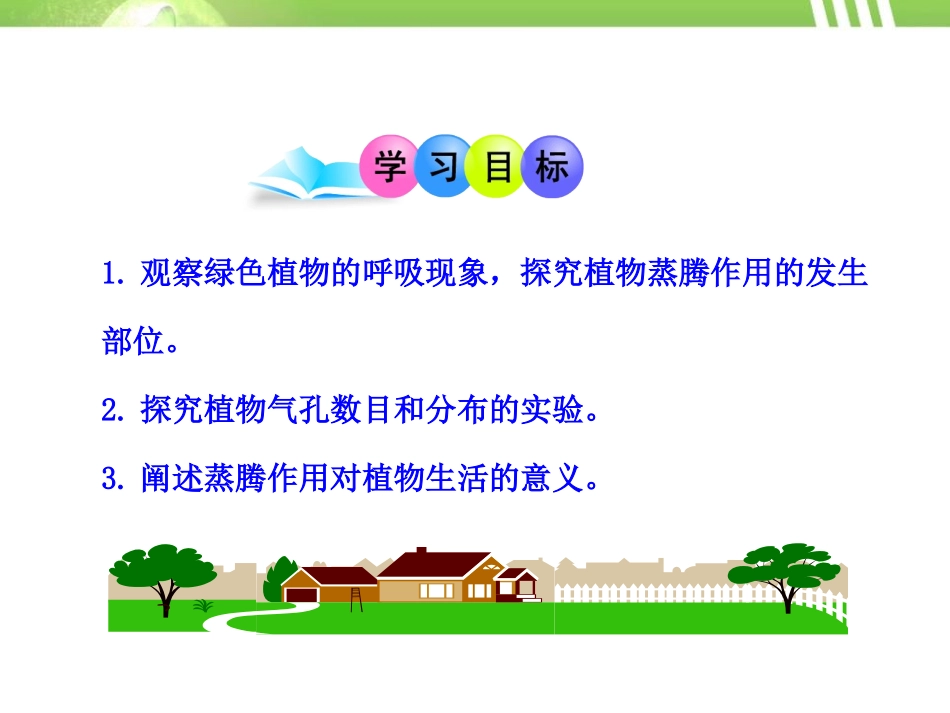 《蒸腾作用》PPT课件[北师大版七年级生物上册]_第3页