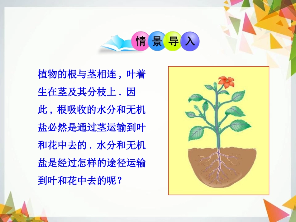 《运输作用》PPT课件[北师大版七年级生物上册]_第2页