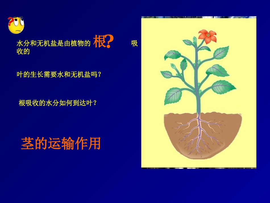 《运输作用》PPT课件[北师大版七年级生物上册]_第2页