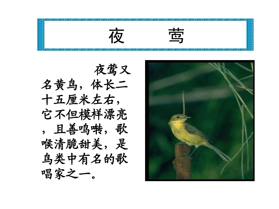 《夜莺的歌声》PPT课件[部编版四年级语文下册]_第2页