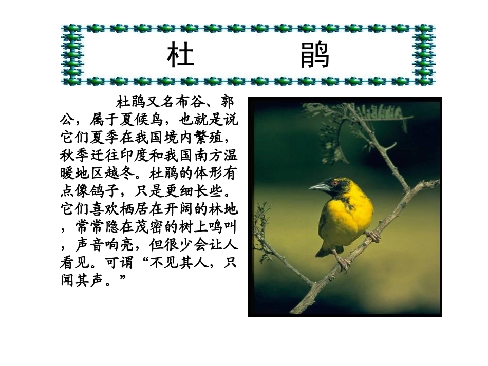 《夜莺的歌声》PPT课件[部编版四年级语文下册]_第3页