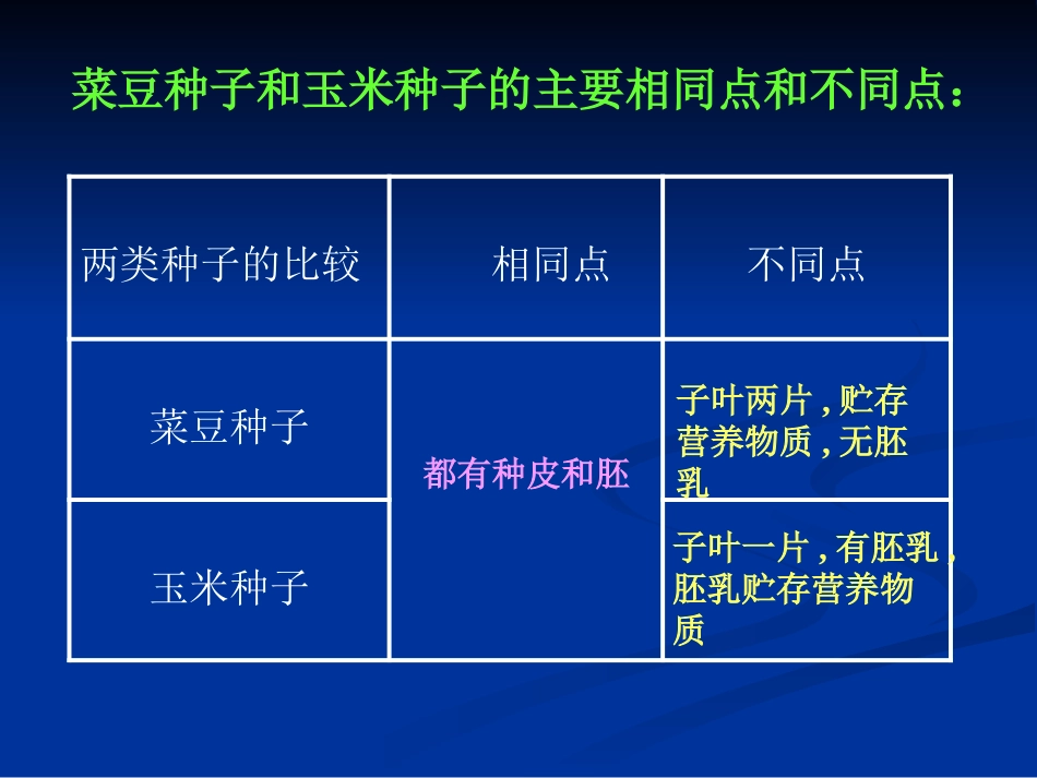 《种子萌发形成幼苗》PPT课件[北师大版七年级生物上册]_第3页