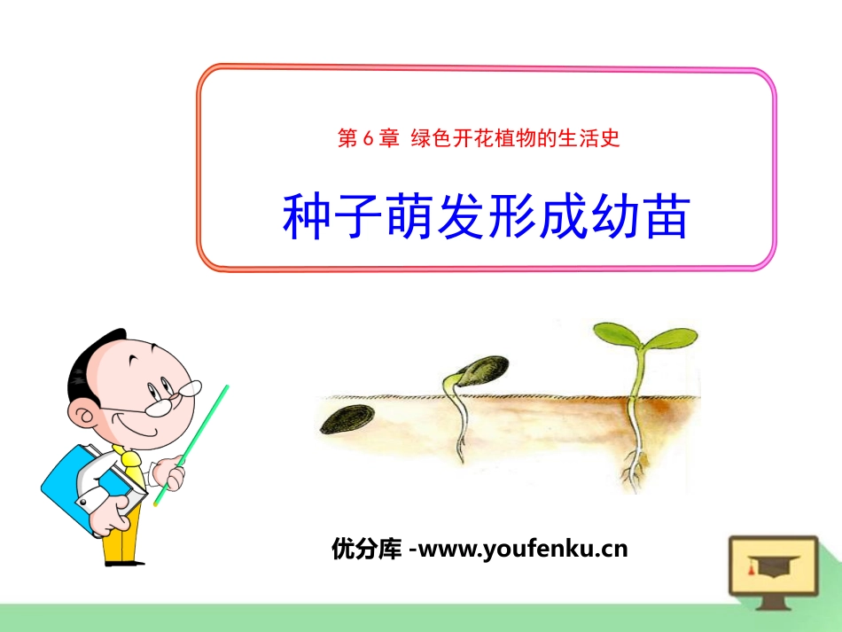 《种子萌发形成幼苗》PPT课件[北师大版七年级生物上册]_第1页
