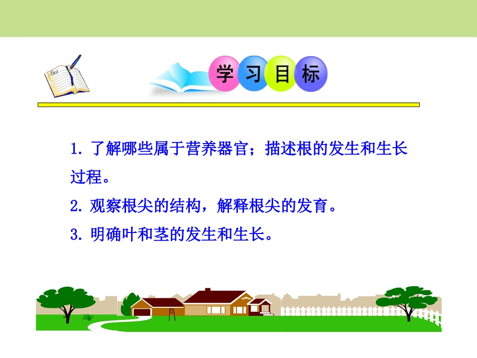 《营养器官的生长》PPT课件[北师大版七年级生物上册]_第3页